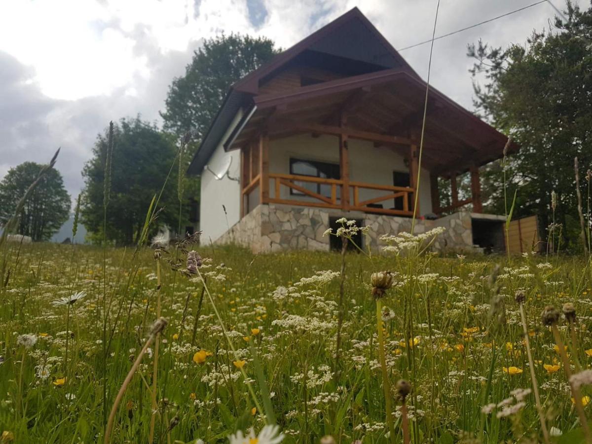 Eco Village Highlander Žabljak Екстериор снимка